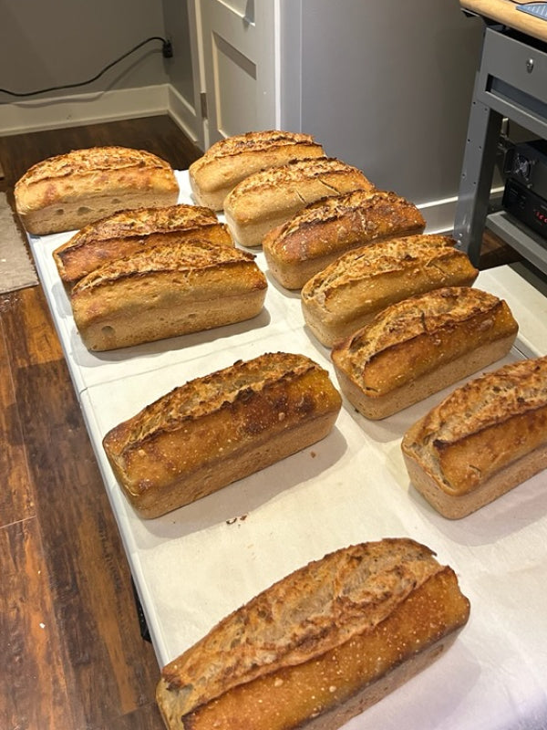 Sourdough Bread